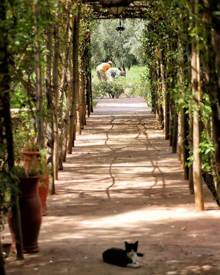 La Ferme Berbere Adult Only Bed & Breakfast El Harkat Exterior photo