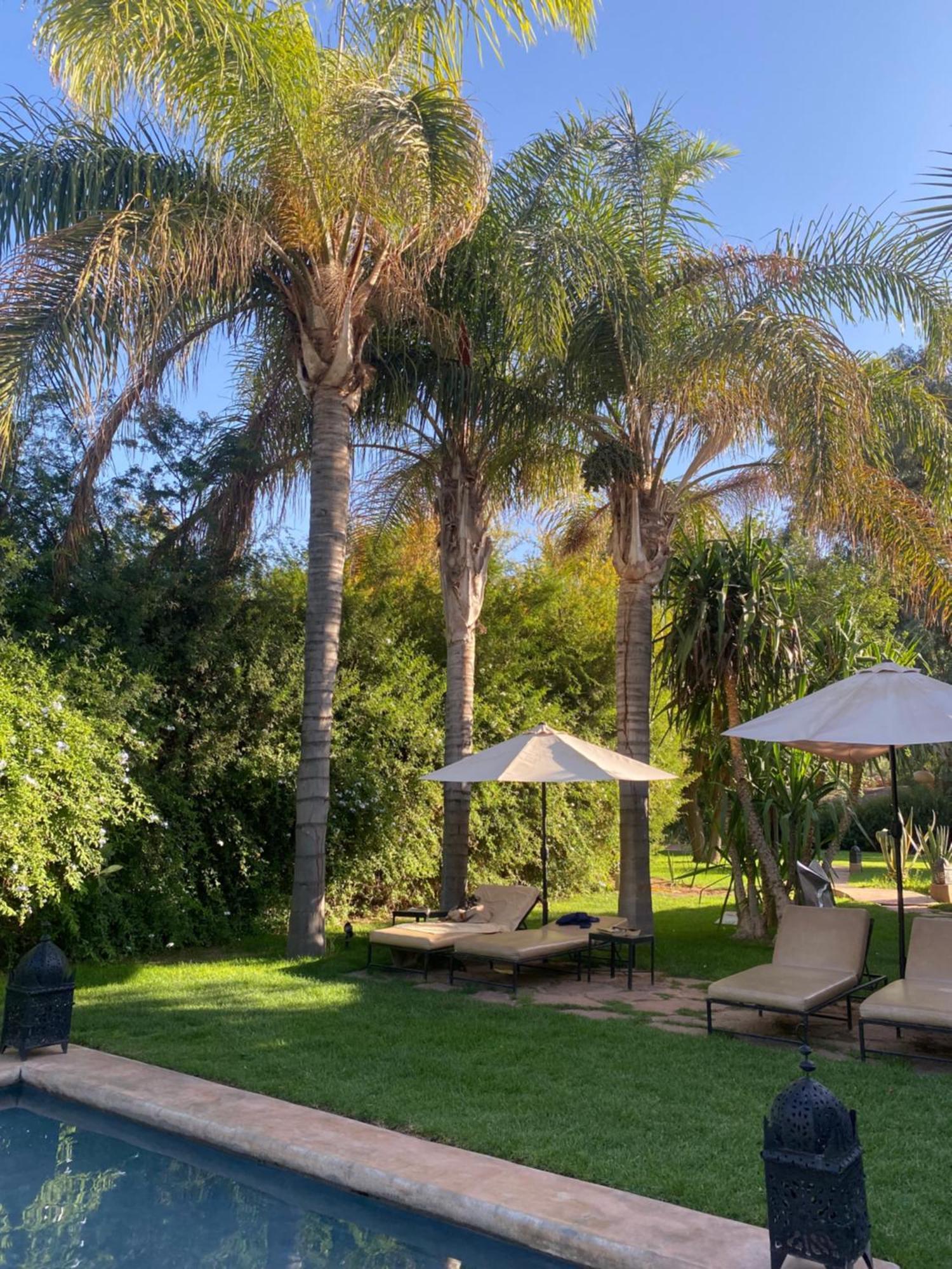 La Ferme Berbere Adult Only Bed & Breakfast El Harkat Exterior photo